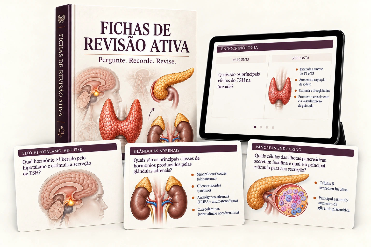 Fichas de Revisão Ativa