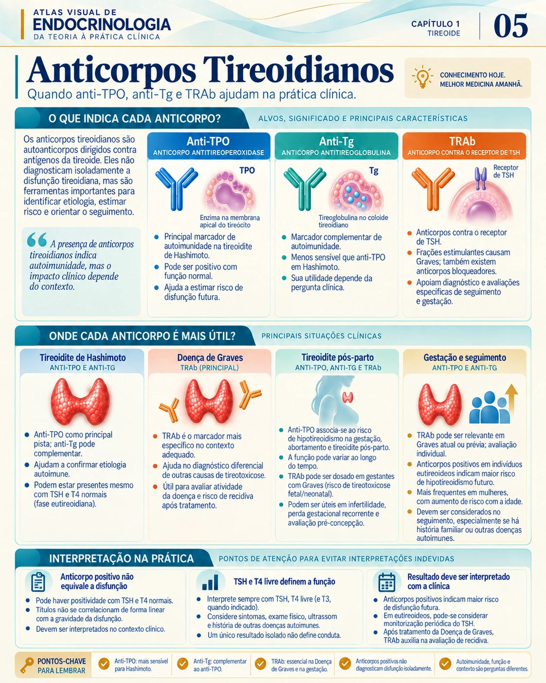 Função da tireoide — Atlas Visual de Endocrinologia, página 5