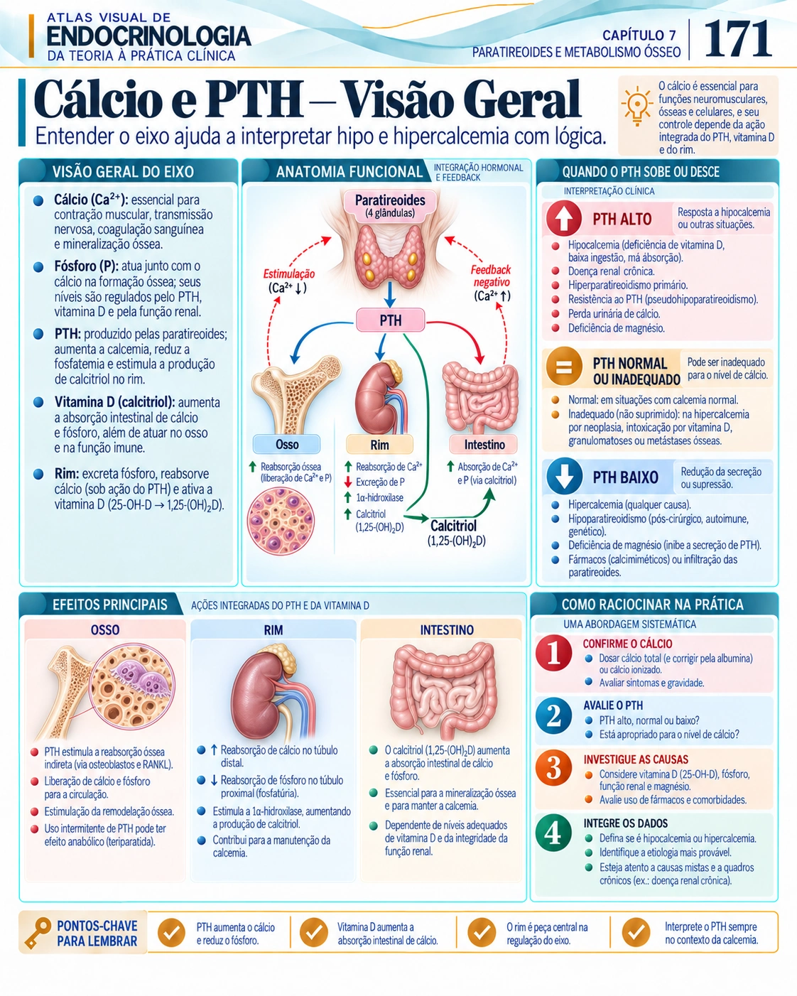 Cálcio e PTH — Atlas Visual de Endocrinologia, página 171