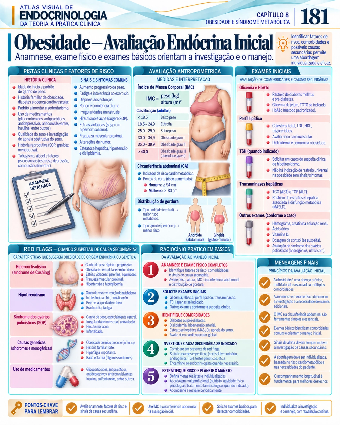 Obesidade — Atlas Visual de Endocrinologia, página 181